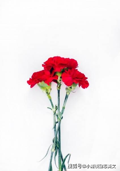 1月15日起 丘比特来送爱情 4大星座情深意切 良缘相伴 天秤座 对方 桃花
