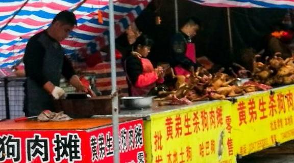 清晨走进广西玉林的菜市场，看到里面还有专门售卖新鲜狗肉的摊位