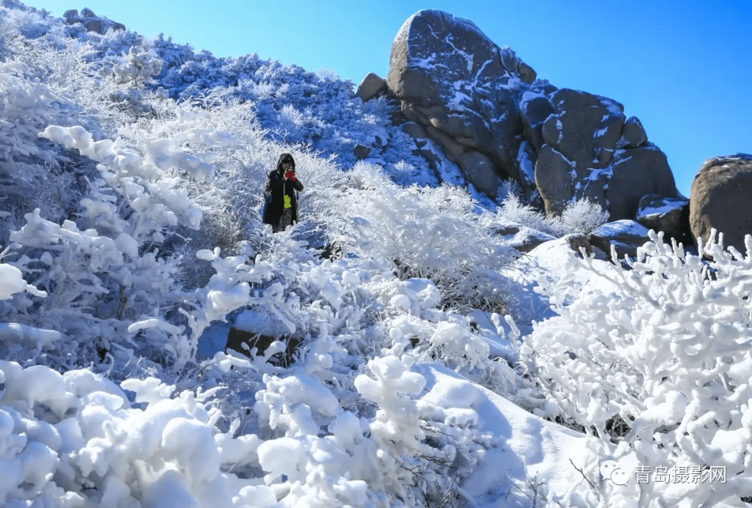 柳絮|一月一题 | 雪，让这个世界变得温柔而浪漫