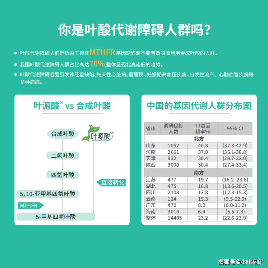 叶酸检查报告单图片图片