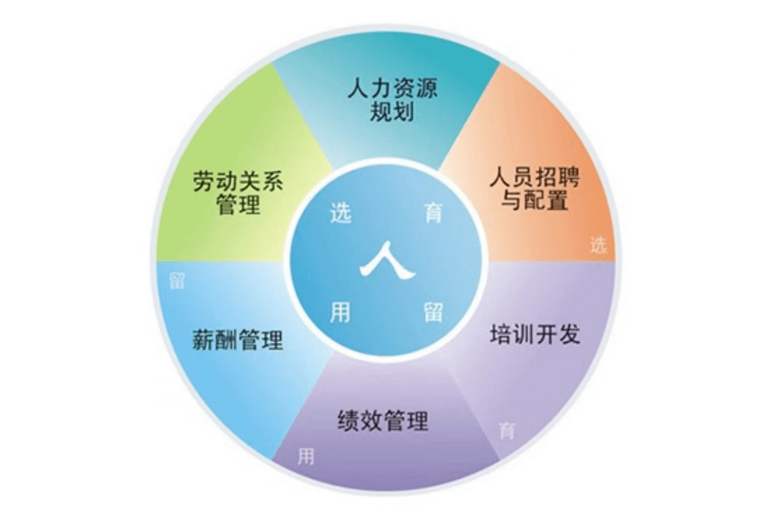 人力资源管理如何借助数字化提升人效比?_企业_用人_数据