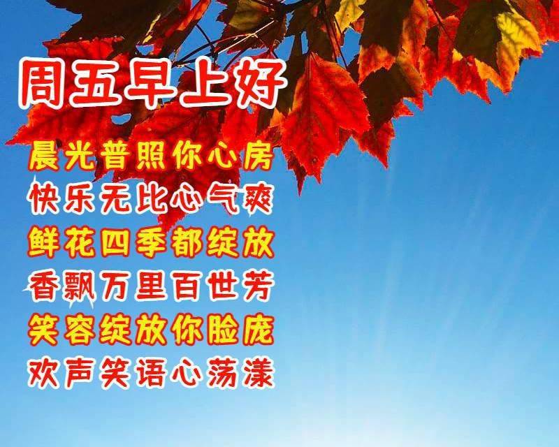 什么是好朋友句子 6bc93ae365b84e81bc22b662dee96750.jpeg