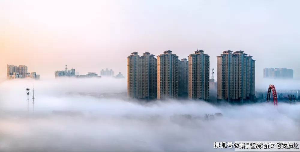 摄影家协会|看秋冬秦皇岛！最惊艳你的城市模样都在这儿了~