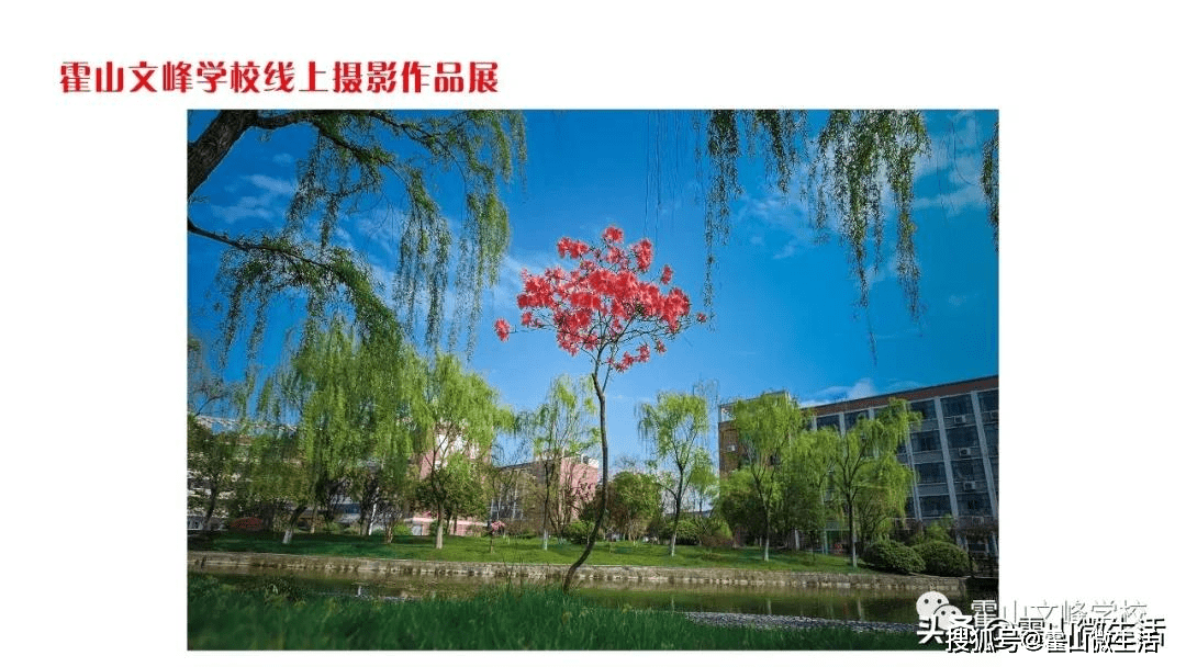 霍山文峰学校第八届校园艺术节线上摄影作品展缤纷来袭