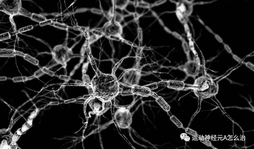 治疗|为什么采用中医治疗运动神经元病?