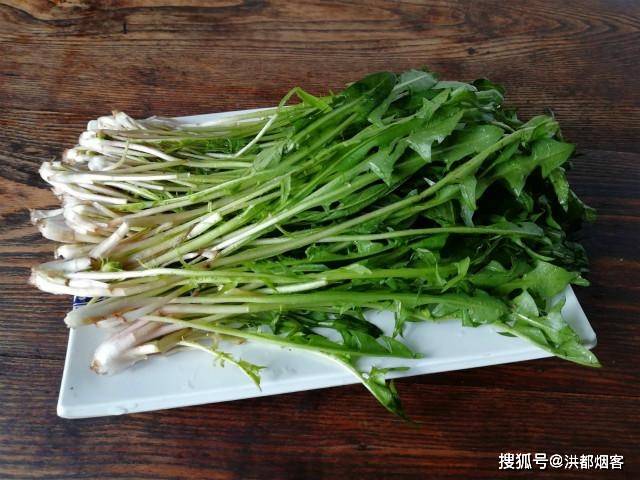 婆婆丁是什么中药别名 39793cc4cc41449c9b5685cff7f13a23.jpeg