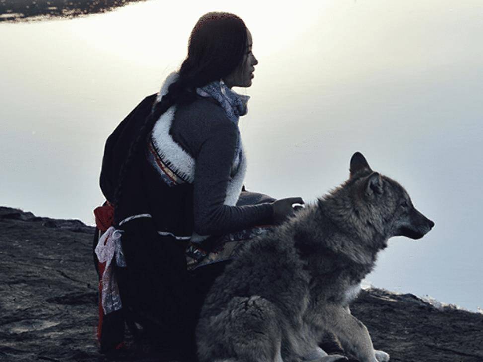 2010年,成都女孩养狼做 儿子 ,11年后结局催人泪下