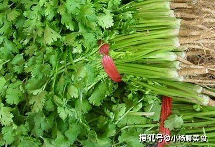6ab40b30588b449db85cfffa457160ca.jpeg