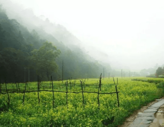 园蔬|我有小楼｜众诗家集评：范东学 卷（2021年）