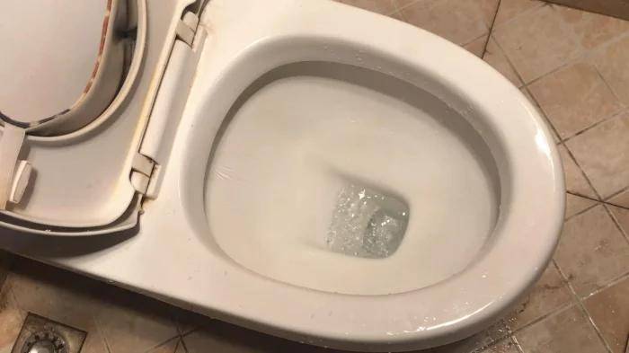 为什么美国的女厕所,马桶前会有一个缺口?难怪只有外国才有!