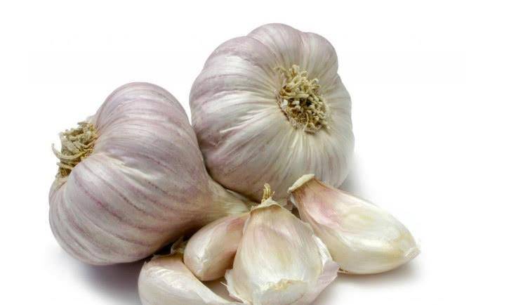 现在可以种大蒜了吧 d9a9443d356f4278b57607e6bd200dbd.jpeg