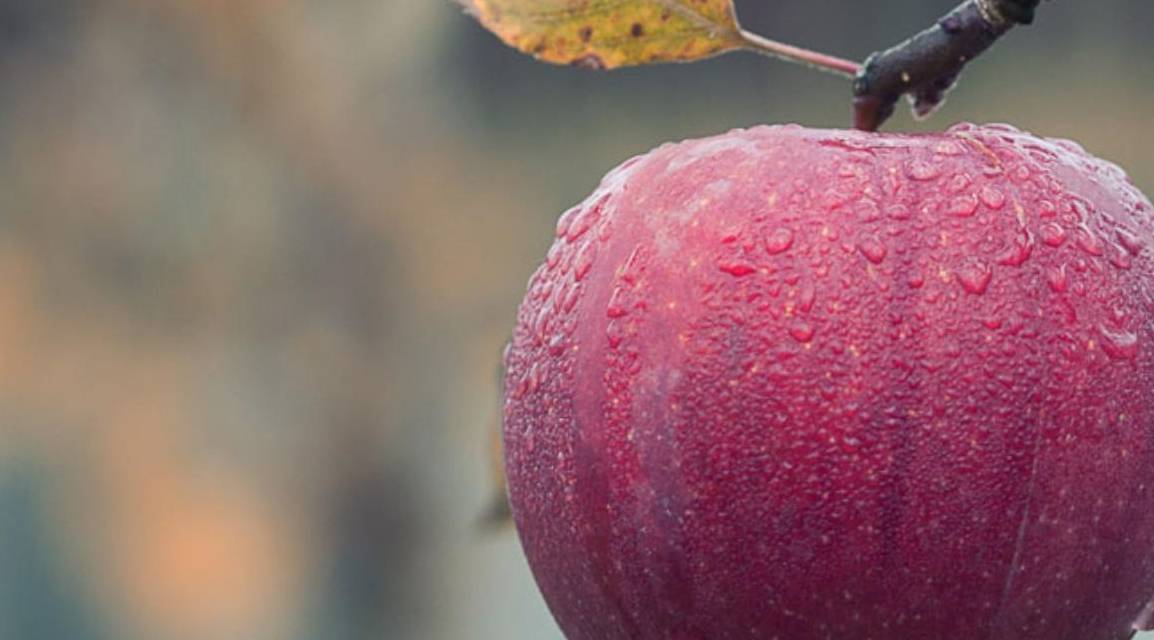 补充|女人晨起后空腹吃“此物”,清血管、降2高、养肠胃,不知道亏了