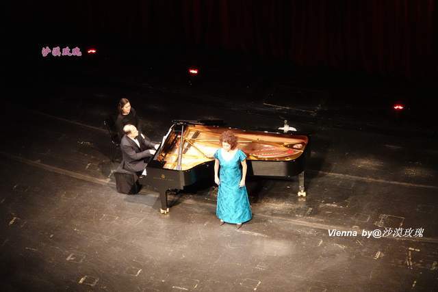 大厅|这场全球直播的音乐会是新年开始的标志，其实每年演出不止一场