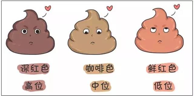 更多胃肠健康相关的疑问和焦虑,可通过"成都博仕胃肠医院"公众号,咨询