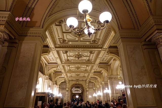 大厅|这场全球直播的音乐会是新年开始的标志，其实每年演出不止一场