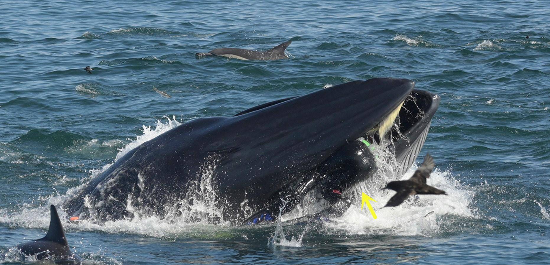 24���������ŵ���ʵ���ȵ�Ӱ�����˷�����˼