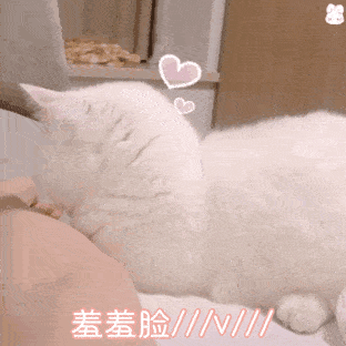 猫毛球有很多你不知道的知识