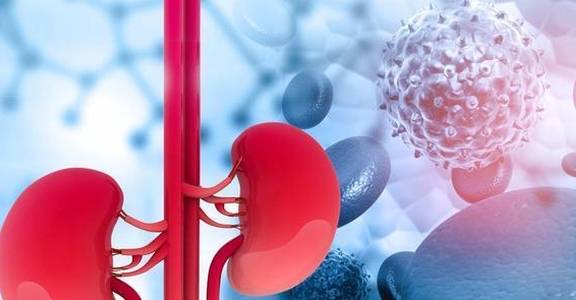 肾脏|肾友注意:保持肾功能稳定,除了蛋白尿,这项尿液指标也要重视