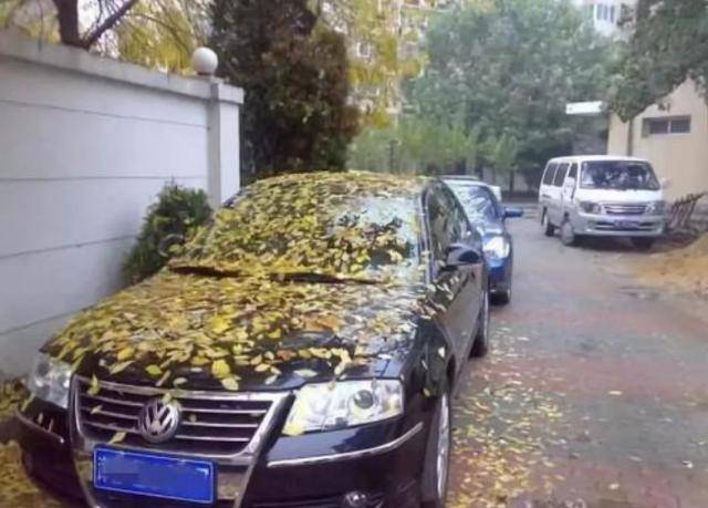 几个月的车称为库存车 4c4b991ac4a94db889661b53e186f82e.jpeg