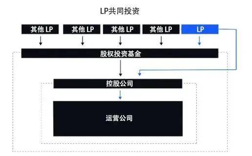 【跨海INSIGHT·第8期】LP直投：利与弊、海外发暴露状与开垦(图1)