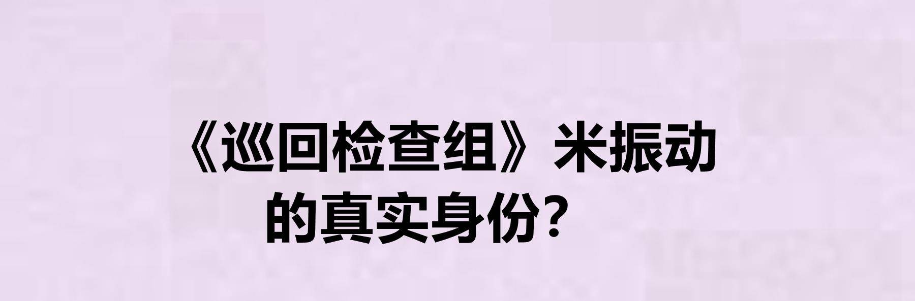 演技|《巡回检查组》米振动的真实身份？他的扮演者是谁？