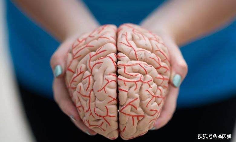 进行性肌萎缩症新药 b92f1f1a5e7e40a3806efe73801b7c45.jpeg