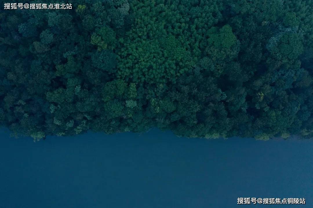 文章配图-7