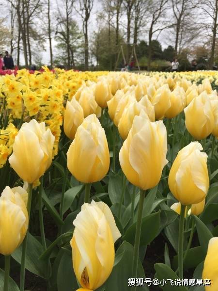 12星座综合实力排行_12星座12月综合运,新的相遇带来新的希望,用实力去换取机会(2)