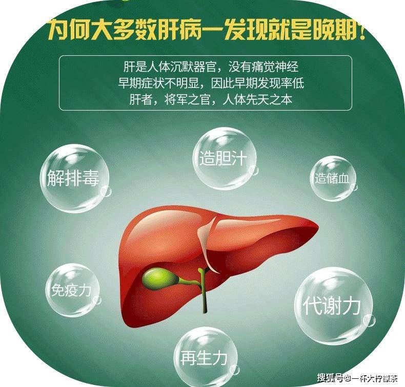 血液|虽说中华酒文化必不可少，但养护好自己的肝同样重要，看看奶蓟草能怎么帮到你