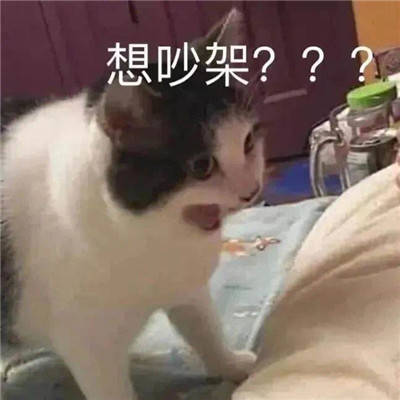 6ae271cdfd674e318402305cab5da0b4.jpeg