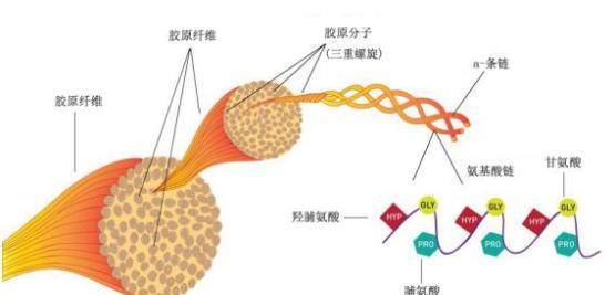 啥东西补蛋白质最快 95be0baa51af4dfa860c618b2cab1376.jpeg