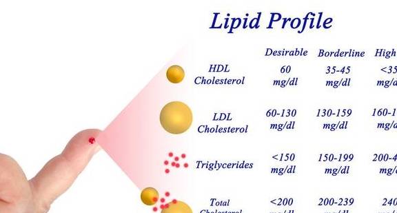 血脂怎样才能正常 b9d56b5fb87b4a95b9f0e51e7a1d2bac.jpeg