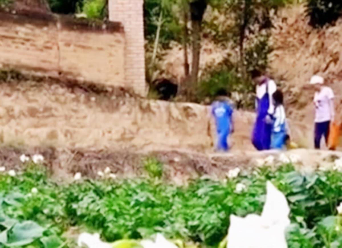 梦境中的重逢，梦见去世的爷爷奶奶盖土砖房，寓意深远