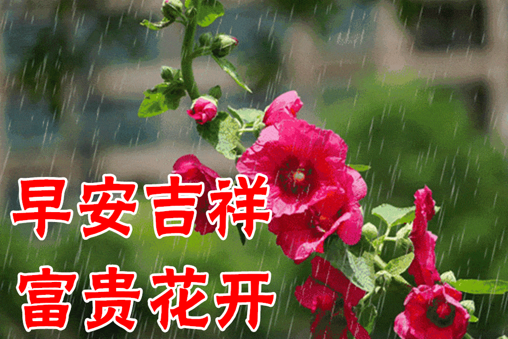 原创7张创意唯美的风景早上好祝福图片2022好看的免打字聊天早安祝福