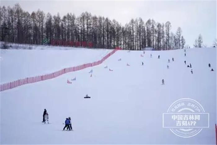 游客|冰雪盛宴 吉林体验⑤丨长白山鲁能胜地滑雪场：穿梭于山林之间的“梦幻雪场”