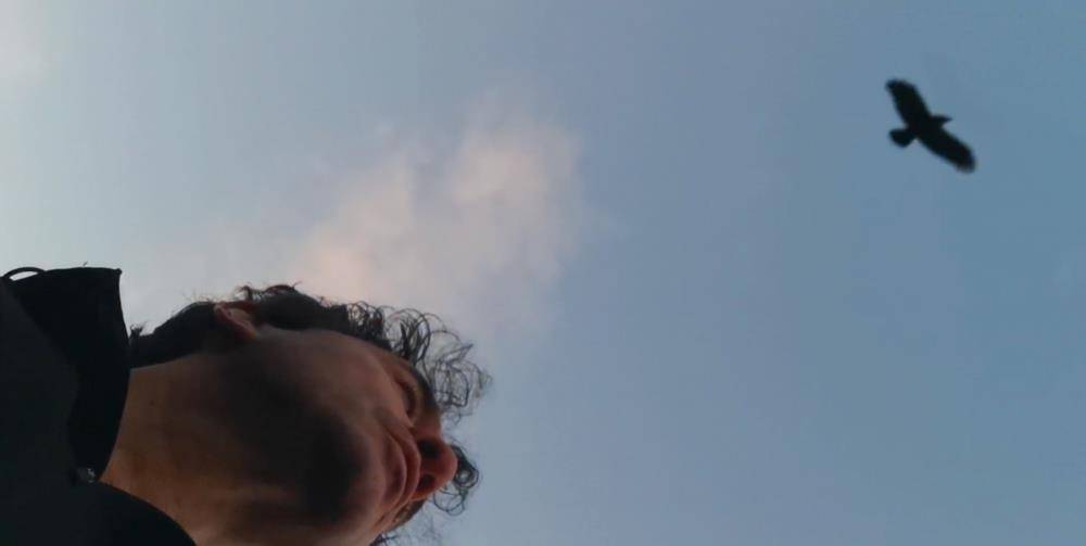 电影|直播预告丨他们来了,影迷们沸腾了!