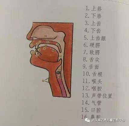 578e83ca293a49f4bca412a593c9a21f.jpeg
