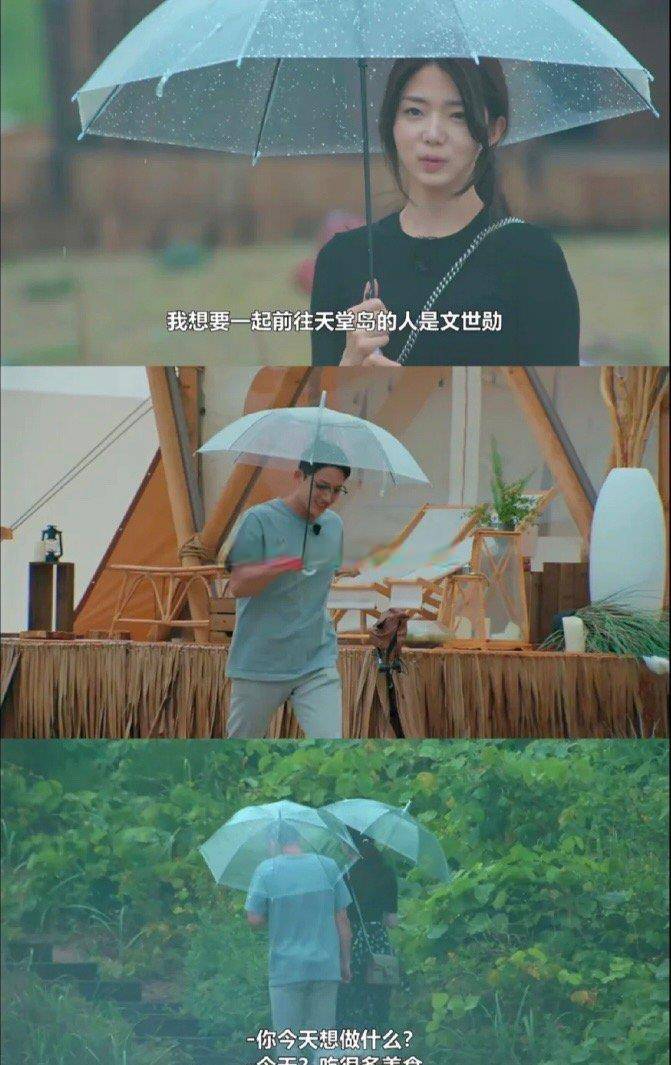 成功|单身即地狱文世勋申芝燕牵手成功