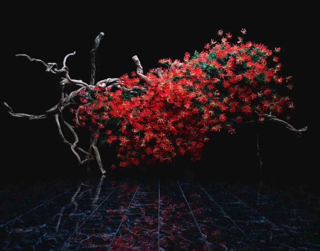 开课直击 草月四级花道师开学啦 教学系统 花艺 师范