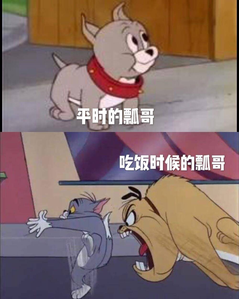 cue|《向往的生活》小锅竟然被她领走，突然被cue到的飘哥表示很无奈