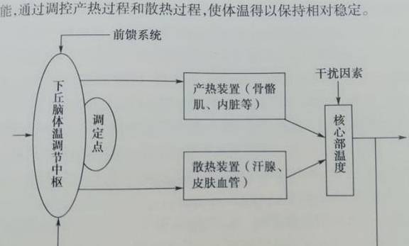 冷空气 寒潮来袭，宝宝穿什么样的衣服才抗冻？不同场景不同穿搭