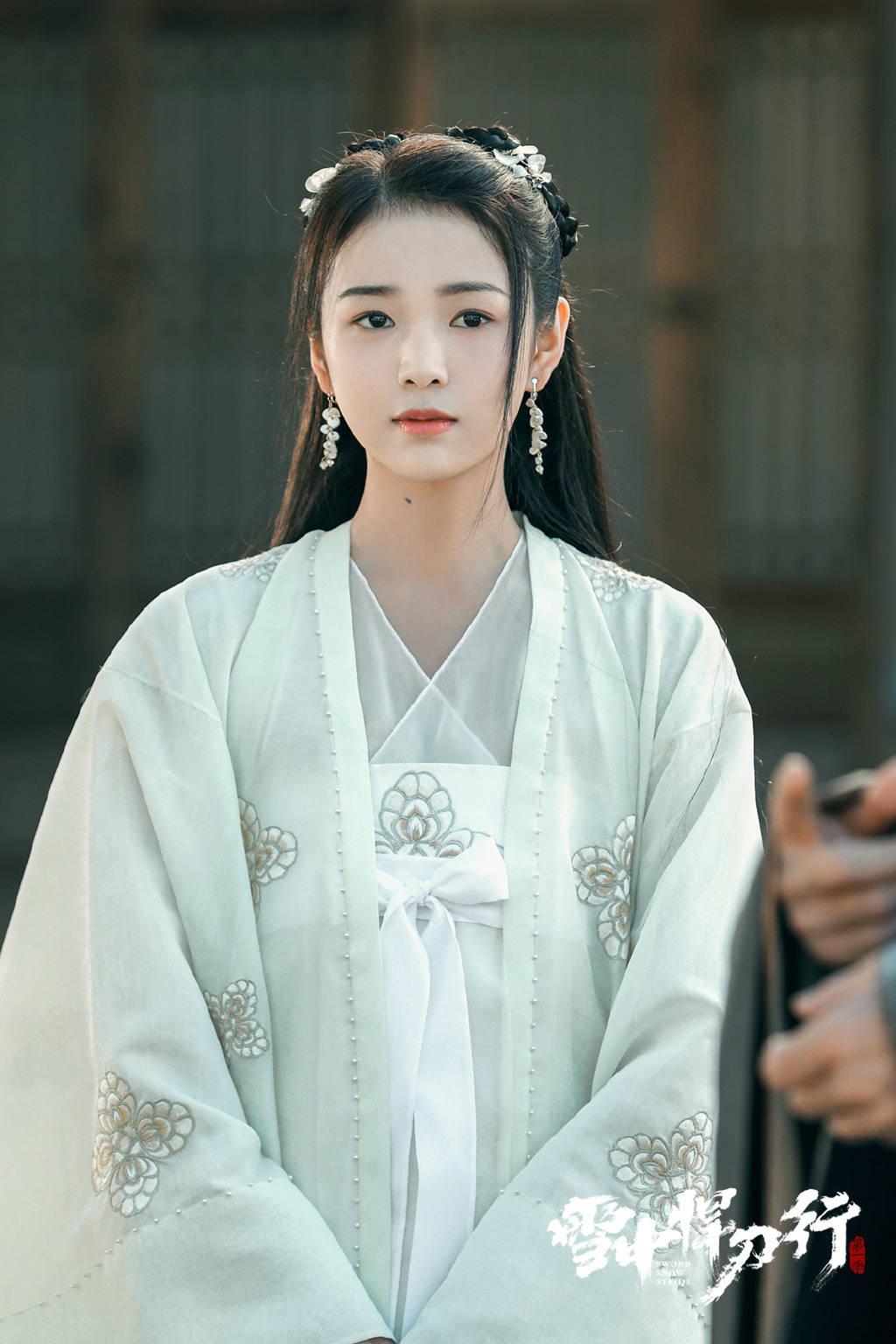 雪中悍刀行徐凤年有几个老婆结局 73157f4019964517a641a29edd1f0216.jpeg