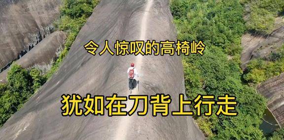 白大褂|“不就是吃个早餐嘛,大哥眼都直了!”得亏是自己来的,哈哈哈哈~