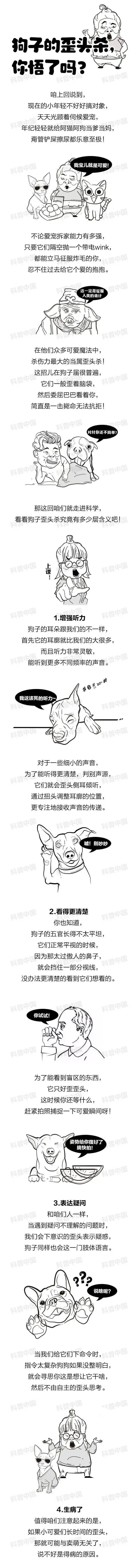 没想到你这个小东西还挺让人难忘 小东西还挺难忘什么梗