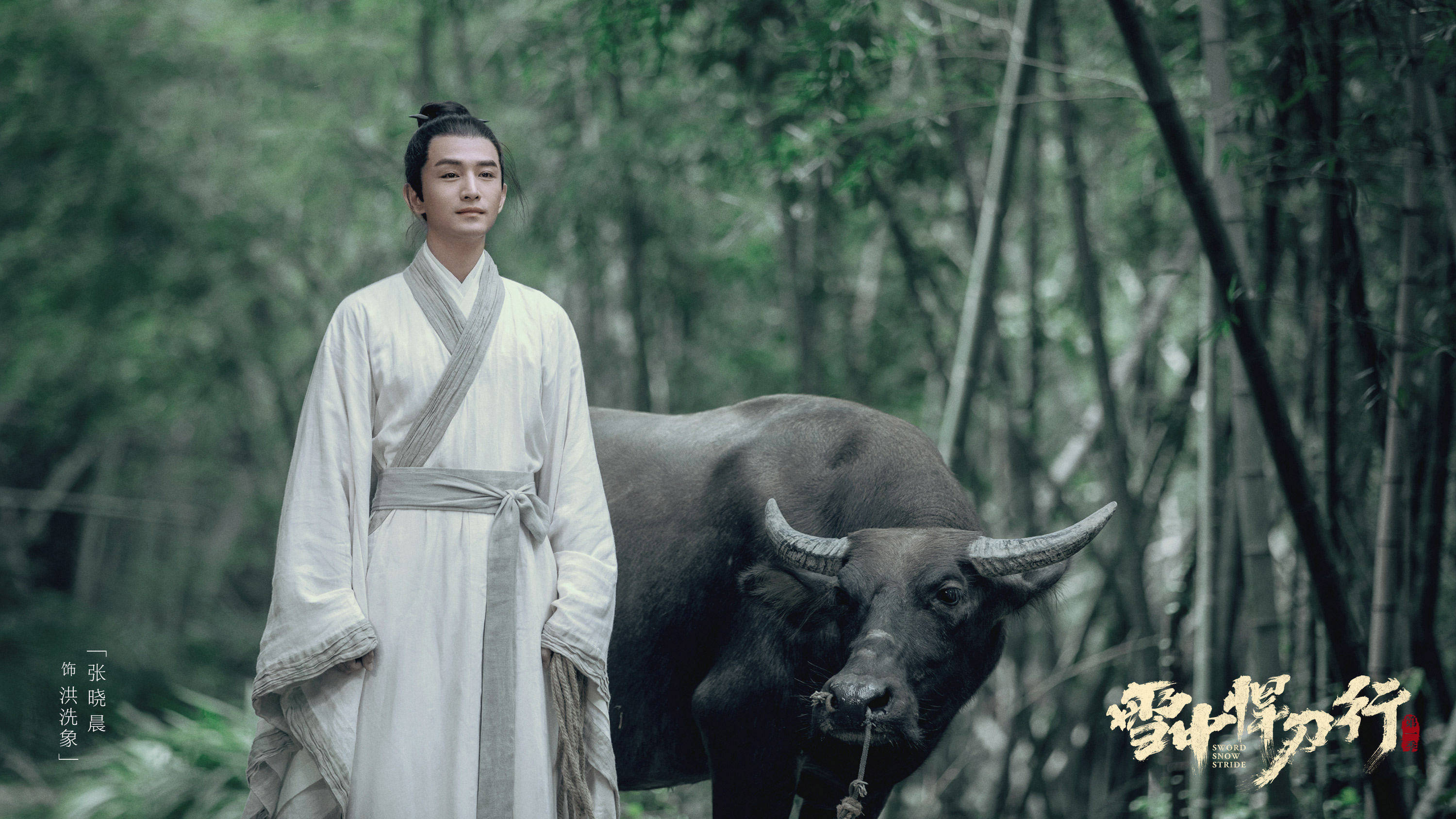 战斗力|《雪中》结局战斗力重排:剑九黄勉强上榜,第一“闷声发大财”?