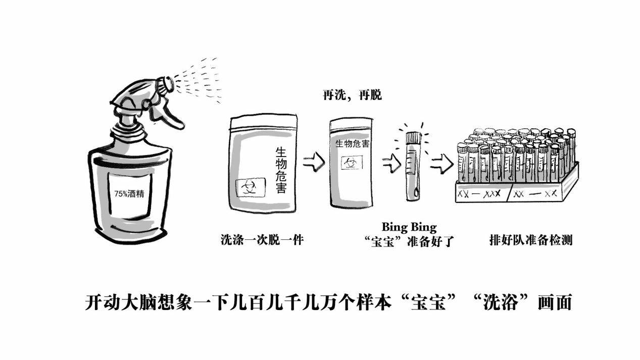检测|一张核酸检测报告是这样出炉的！