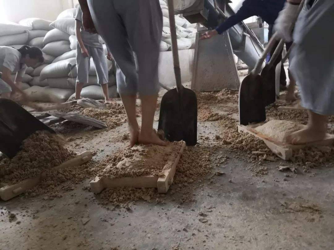 原料|茅台酒用脚踩制曲,脚汗会不会留在酒里面?