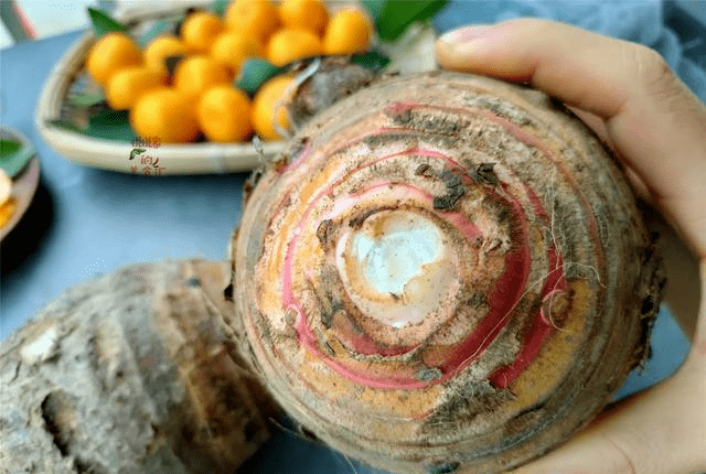 什么时候种香芋 e78da19fc29e4537bcb95dcfb105353b.png