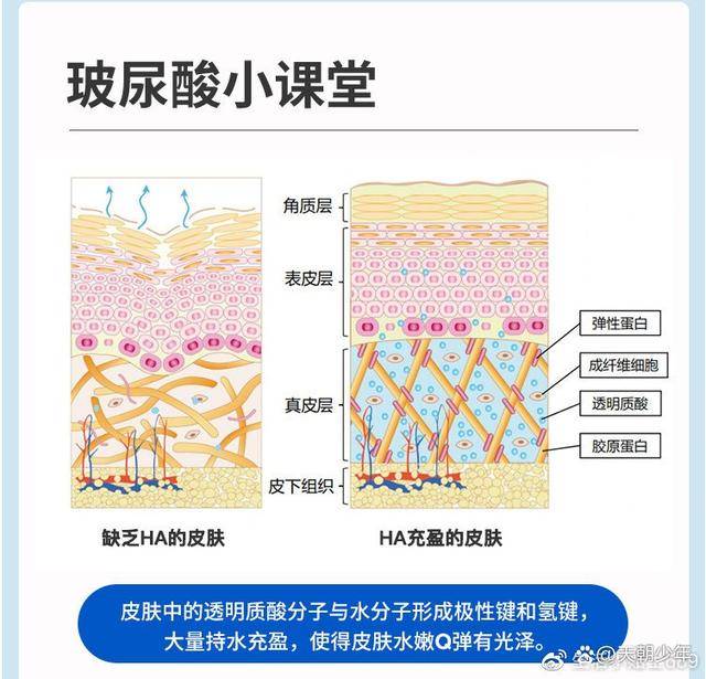 人体沛瑶｜口服玻尿酸为什么那么受欢迎？是智商税吗？