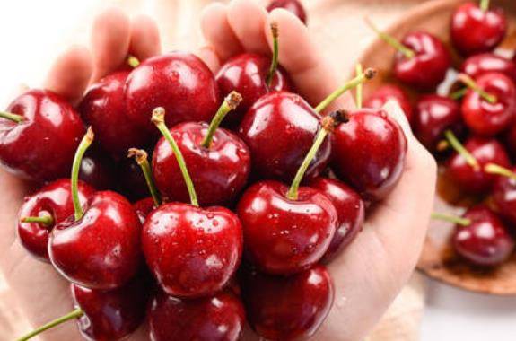 樱桃和车厘子一样嘛 53498bbd3b6b4f58a5857b3f248efe9e.jpeg